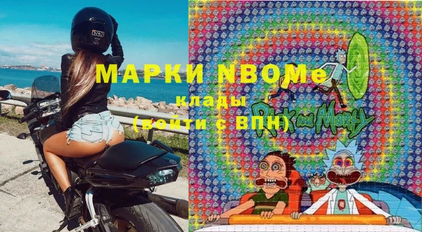 прущие грибы Верхний Тагил