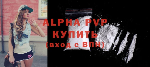 прущие грибы Верхний Тагил