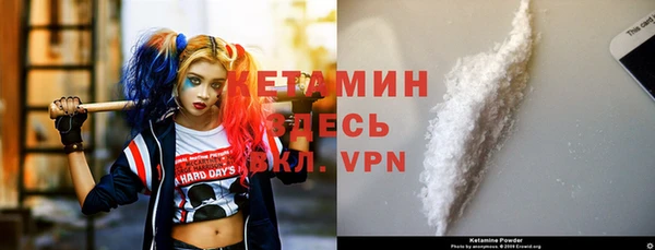 шишки Долгопрудный