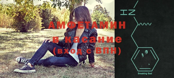 прущие грибы Верхний Тагил