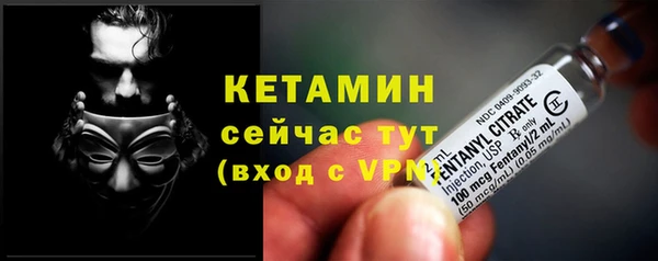 прущие грибы Верхний Тагил