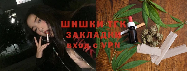 прущие грибы Верхний Тагил