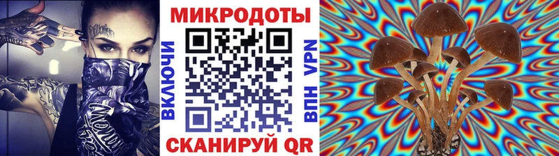 Купить закладки  Гудермес  Псилоцибиновые грибы прущие грибы 